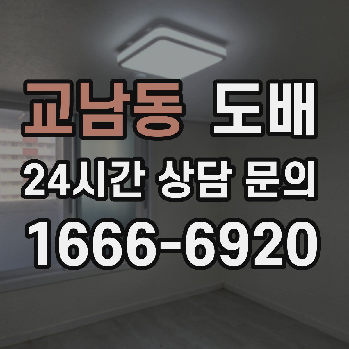 교남동 도배