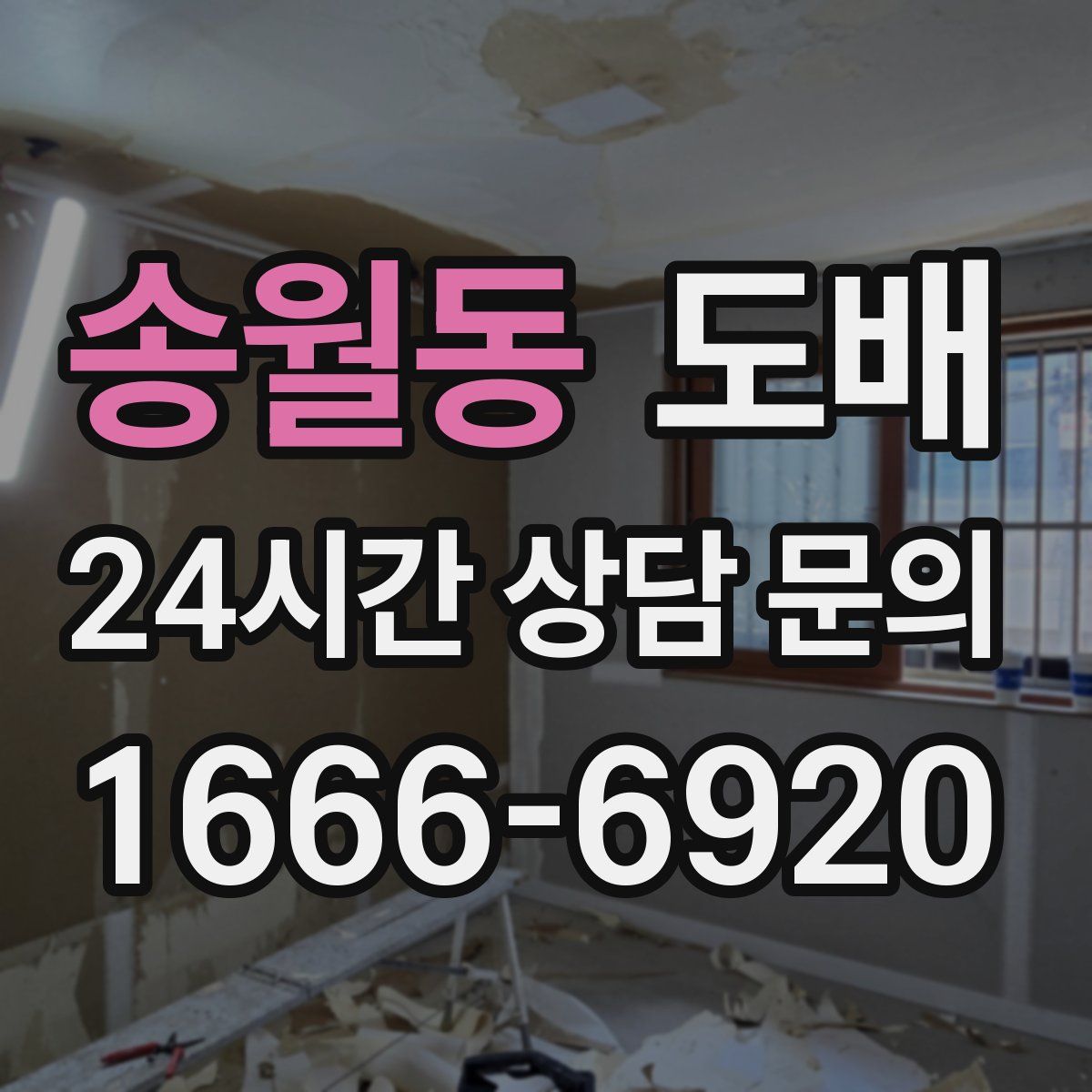송월동 도배