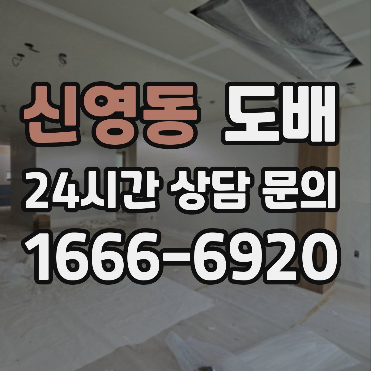 신영동 도배