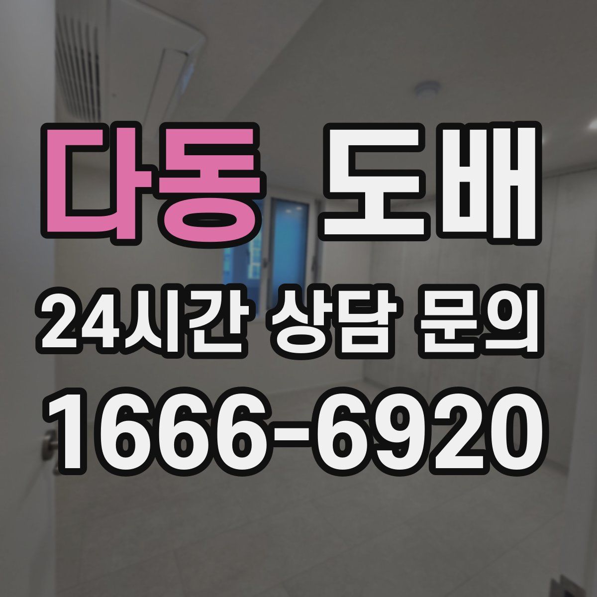 다동 도배