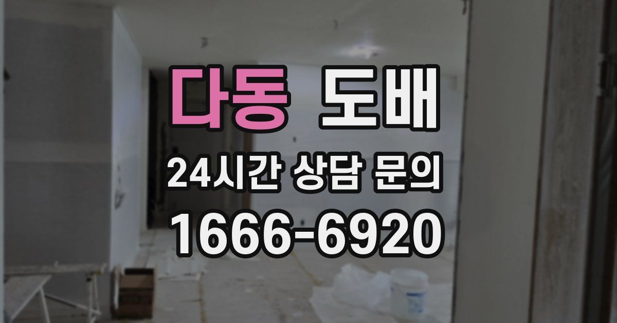 다동 도배