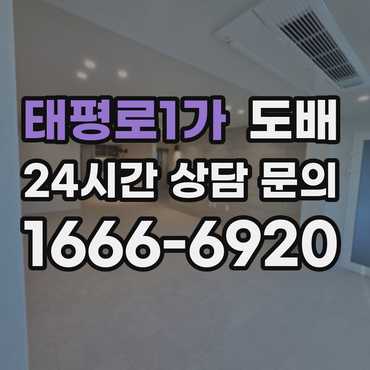 태평로1가 도배