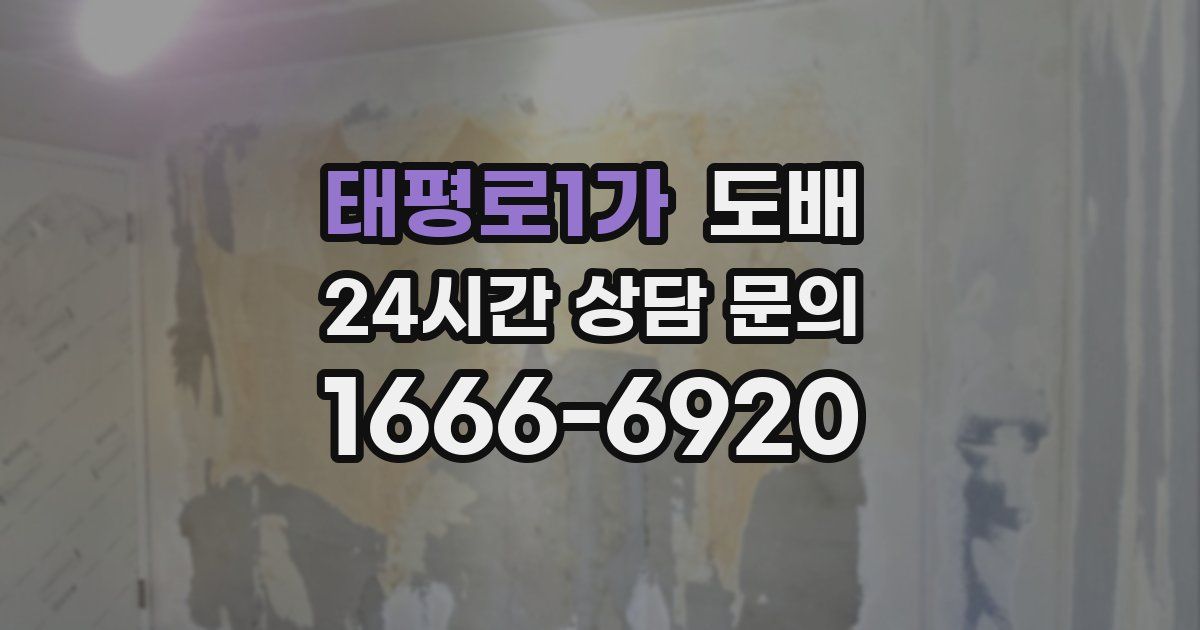 태평로1가 도배