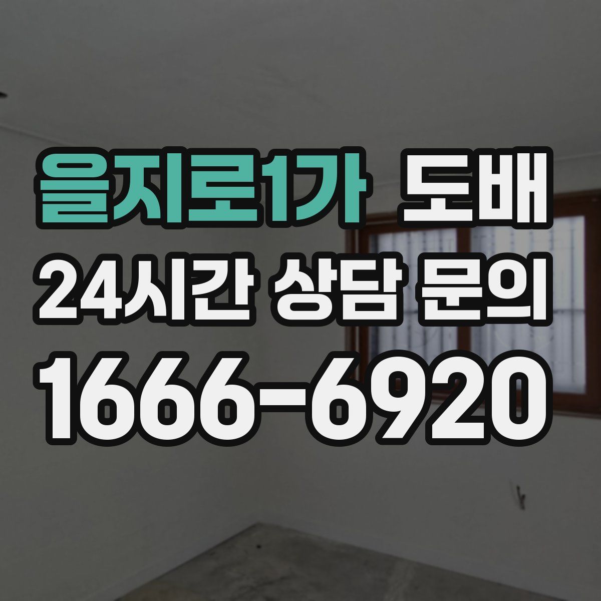 을지로1가 도배