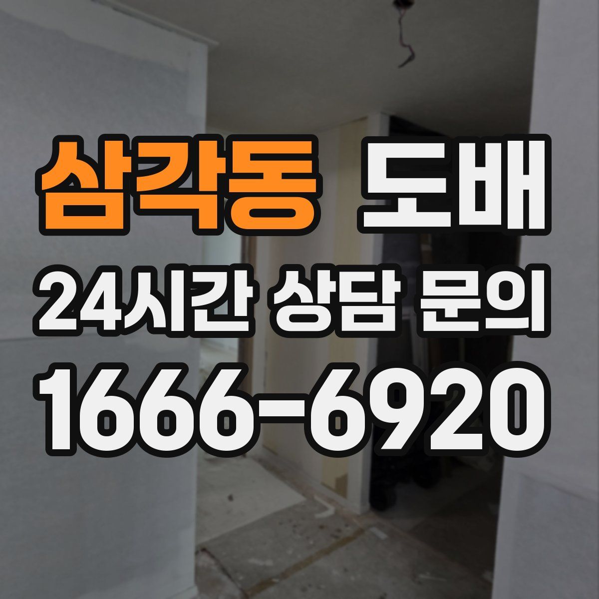 삼각동 도배