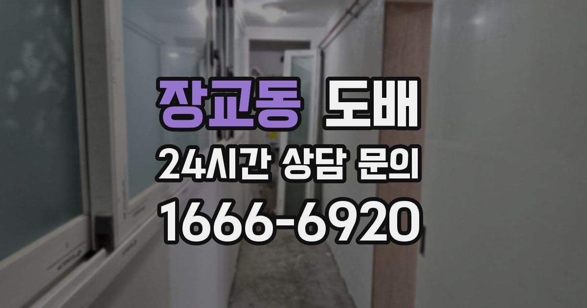 장교동 도배