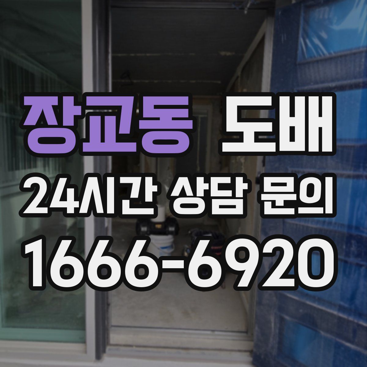 장교동 도배