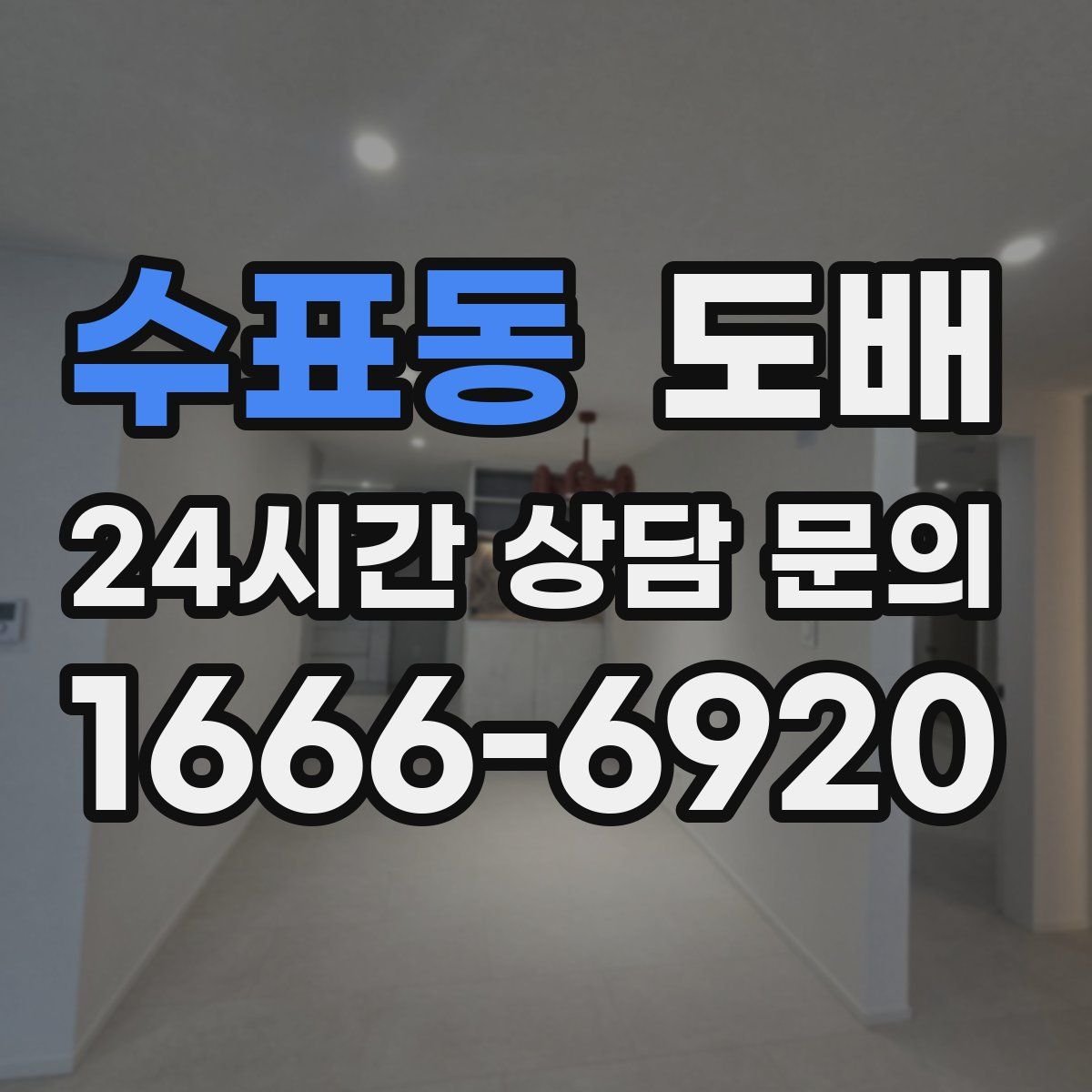 수표동 도배