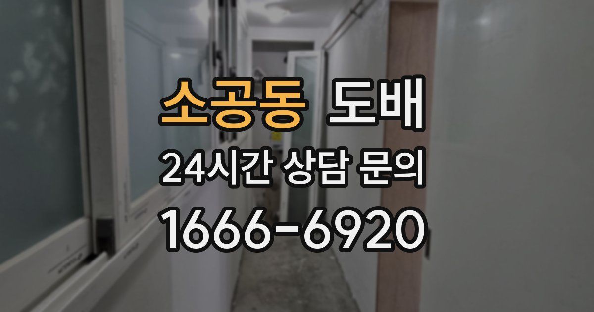 소공동 도배