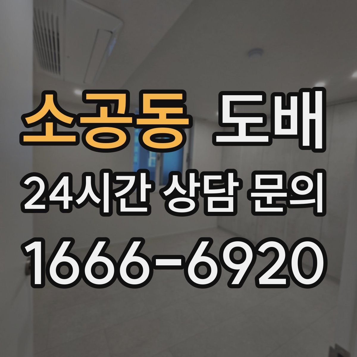 소공동 도배