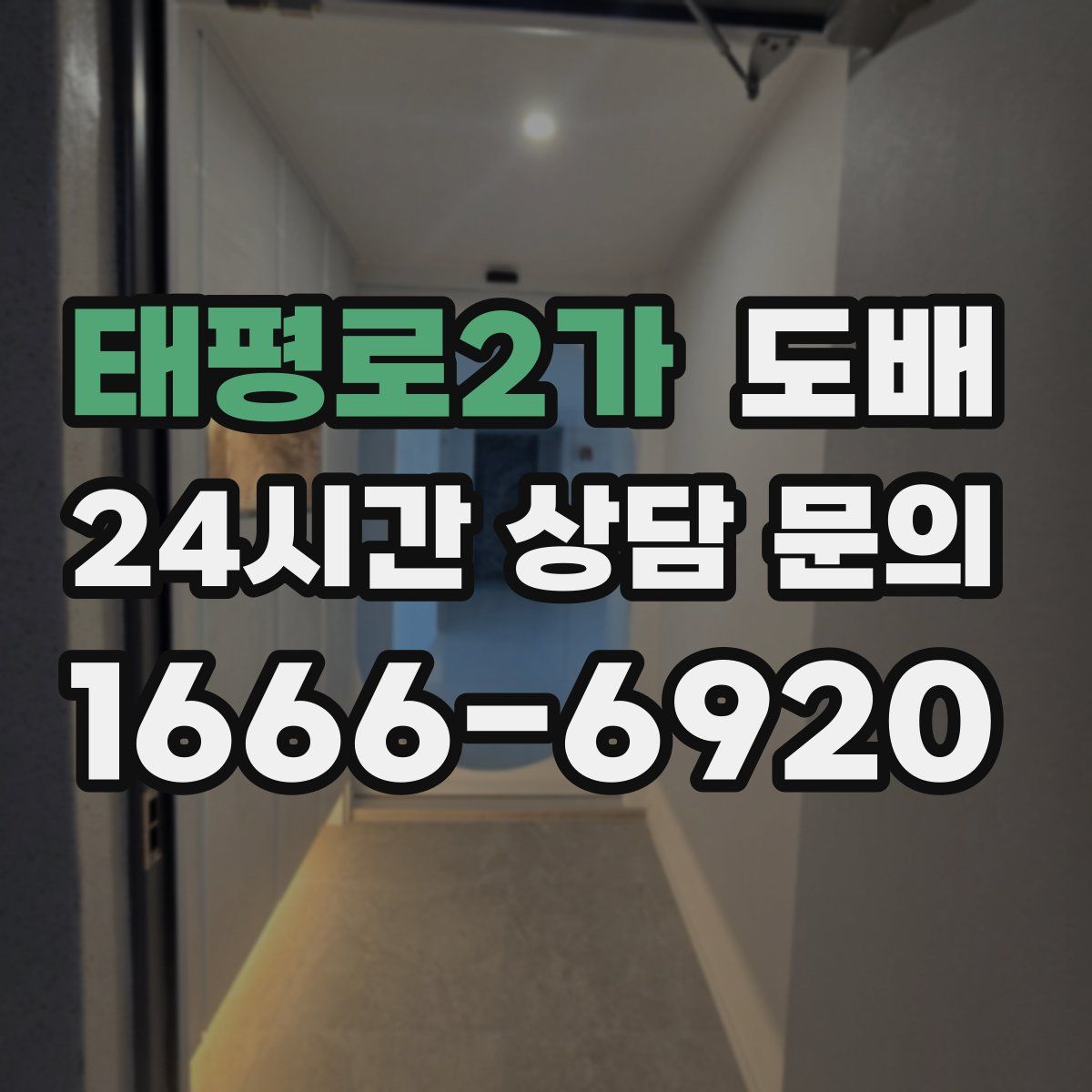 태평로2가 도배