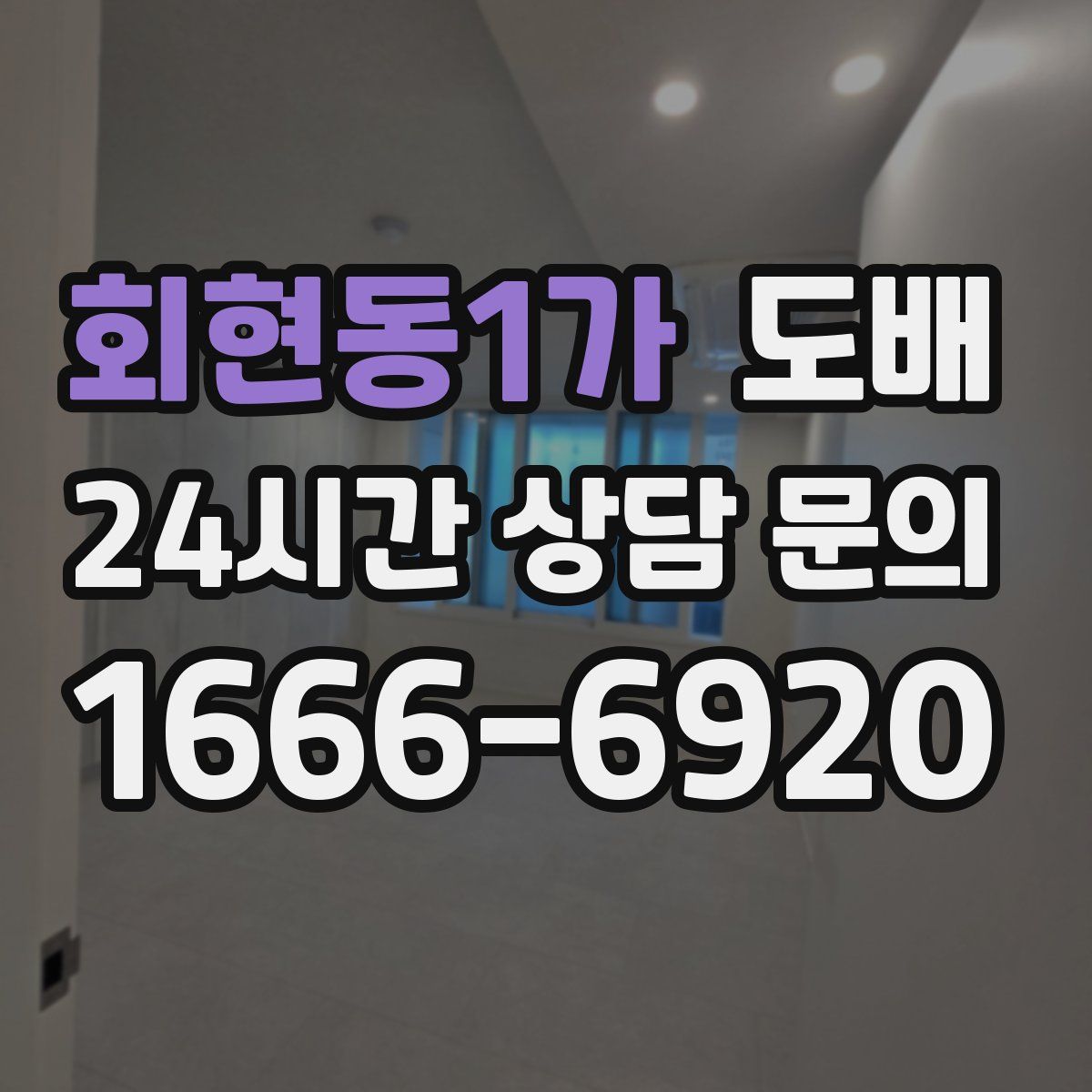 회현동1가 도배