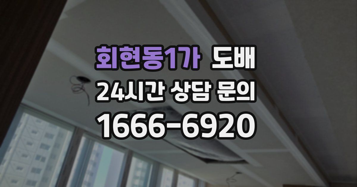 회현동1가 도배
