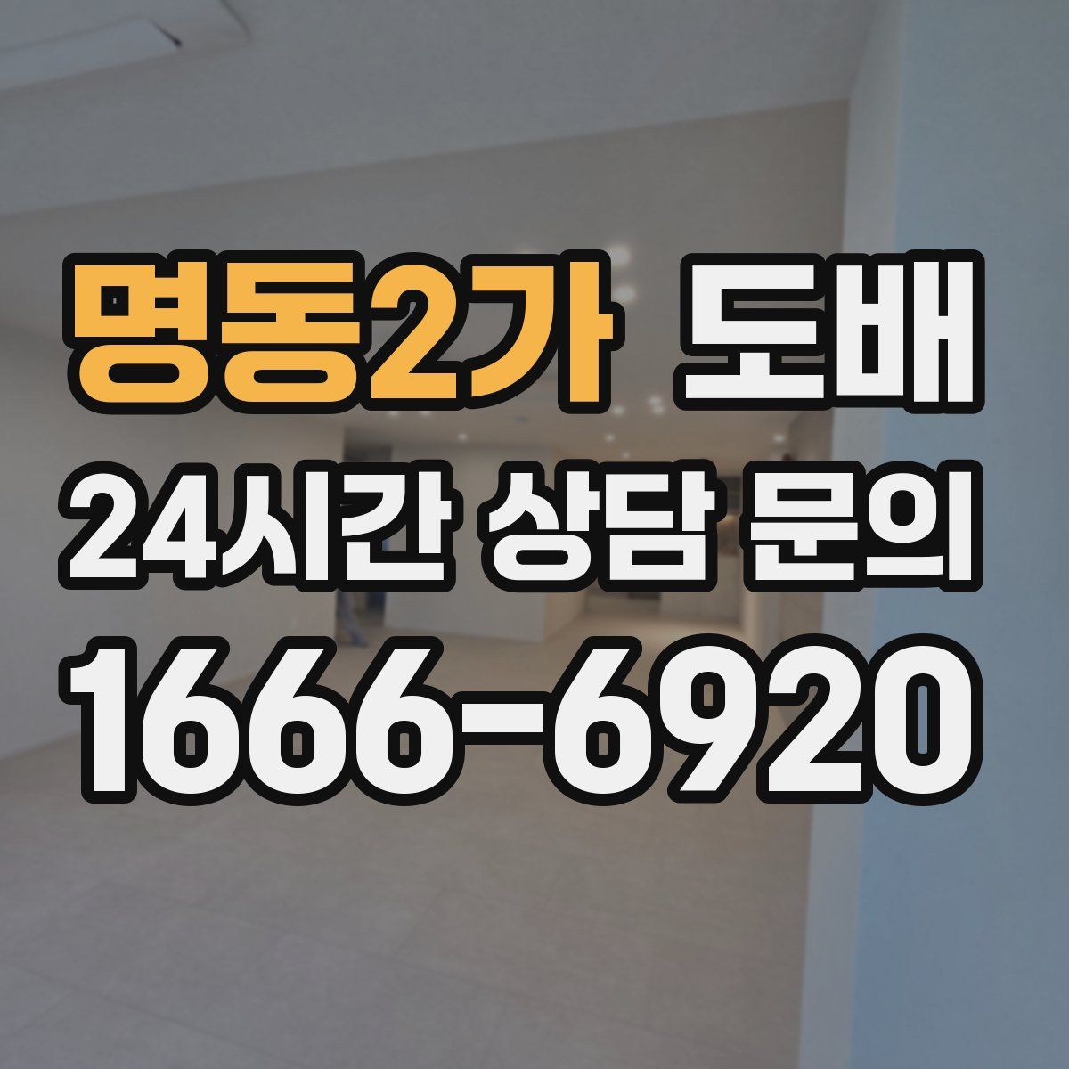 명동2가 도배