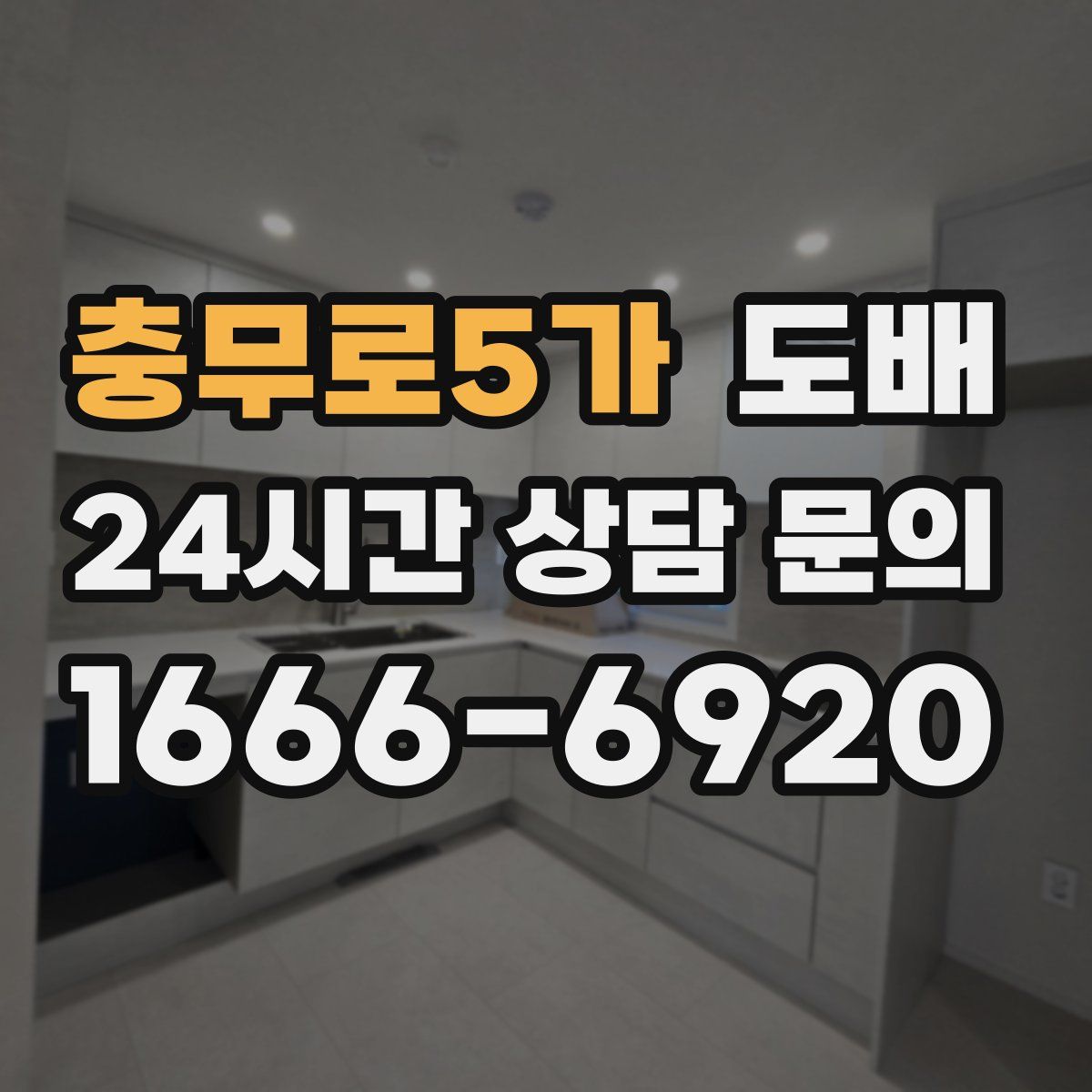 충무로5가 도배