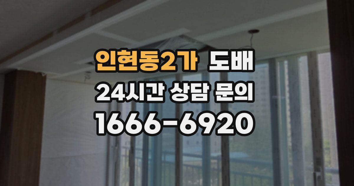 인현동2가 도배