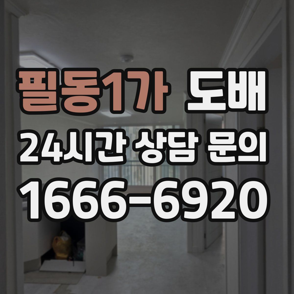 필동1가 도배