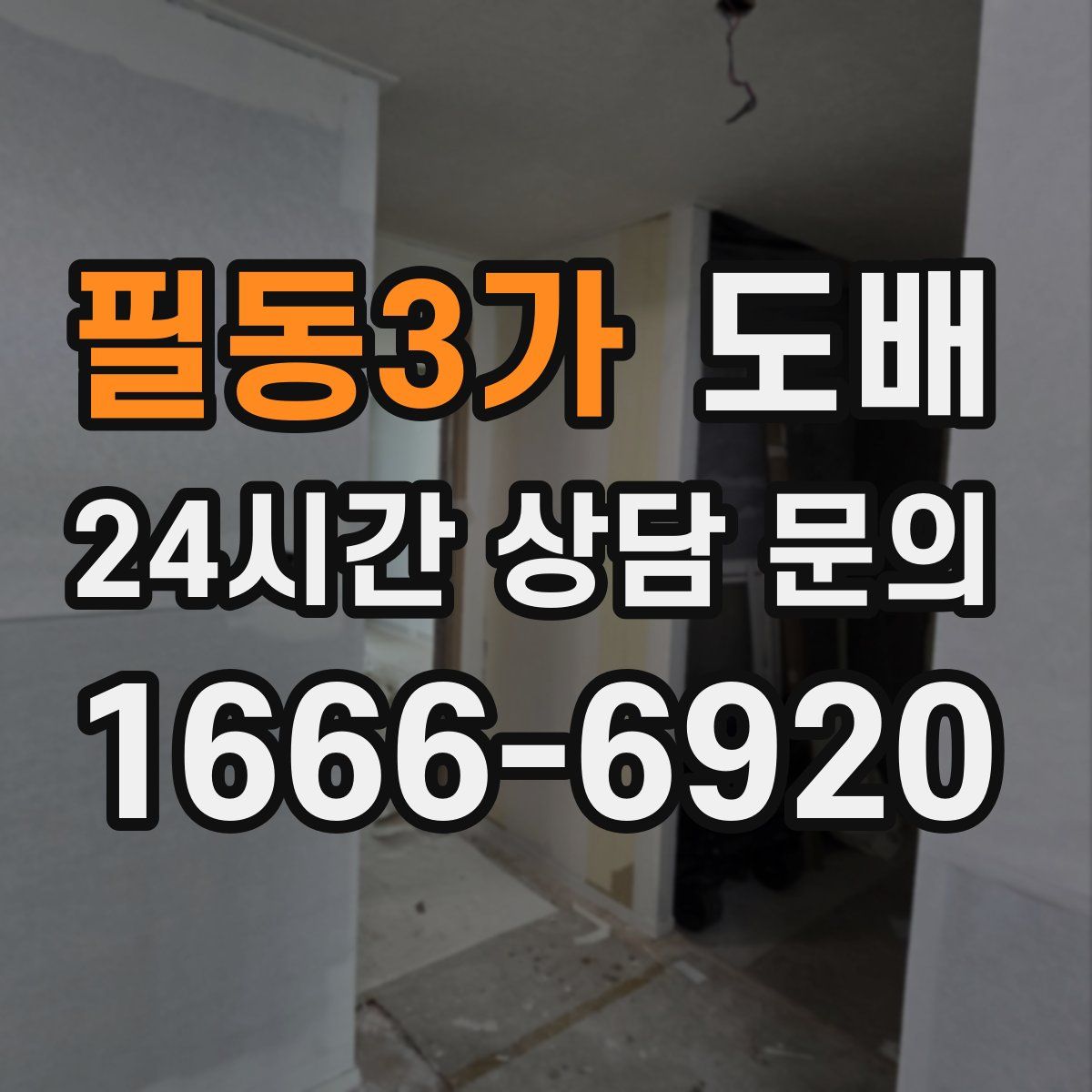 필동3가 도배