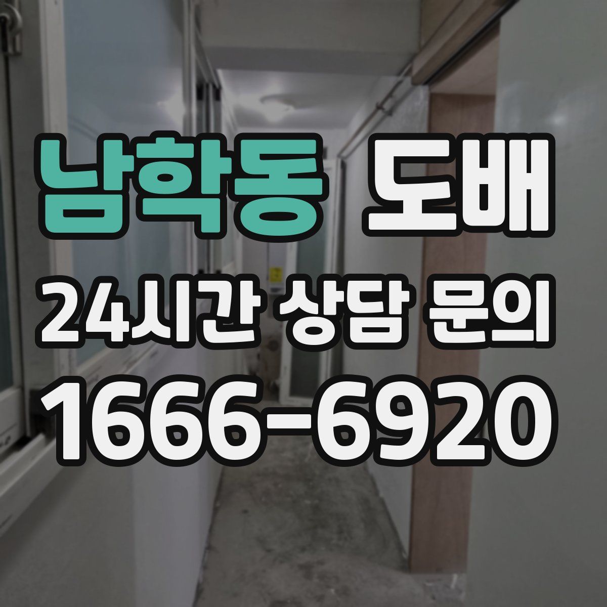 남학동 도배