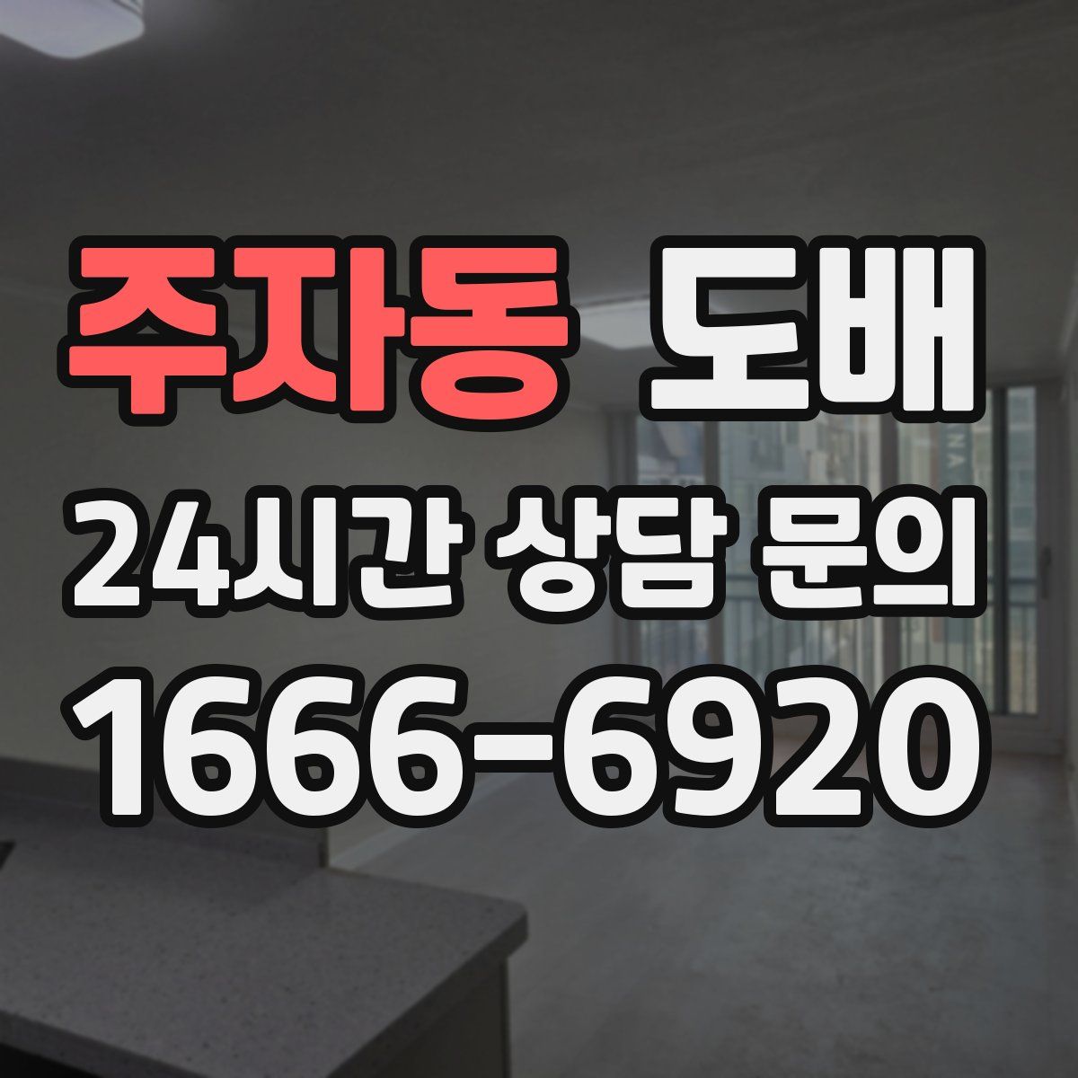 주자동 도배