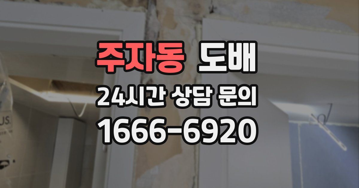 주자동 도배