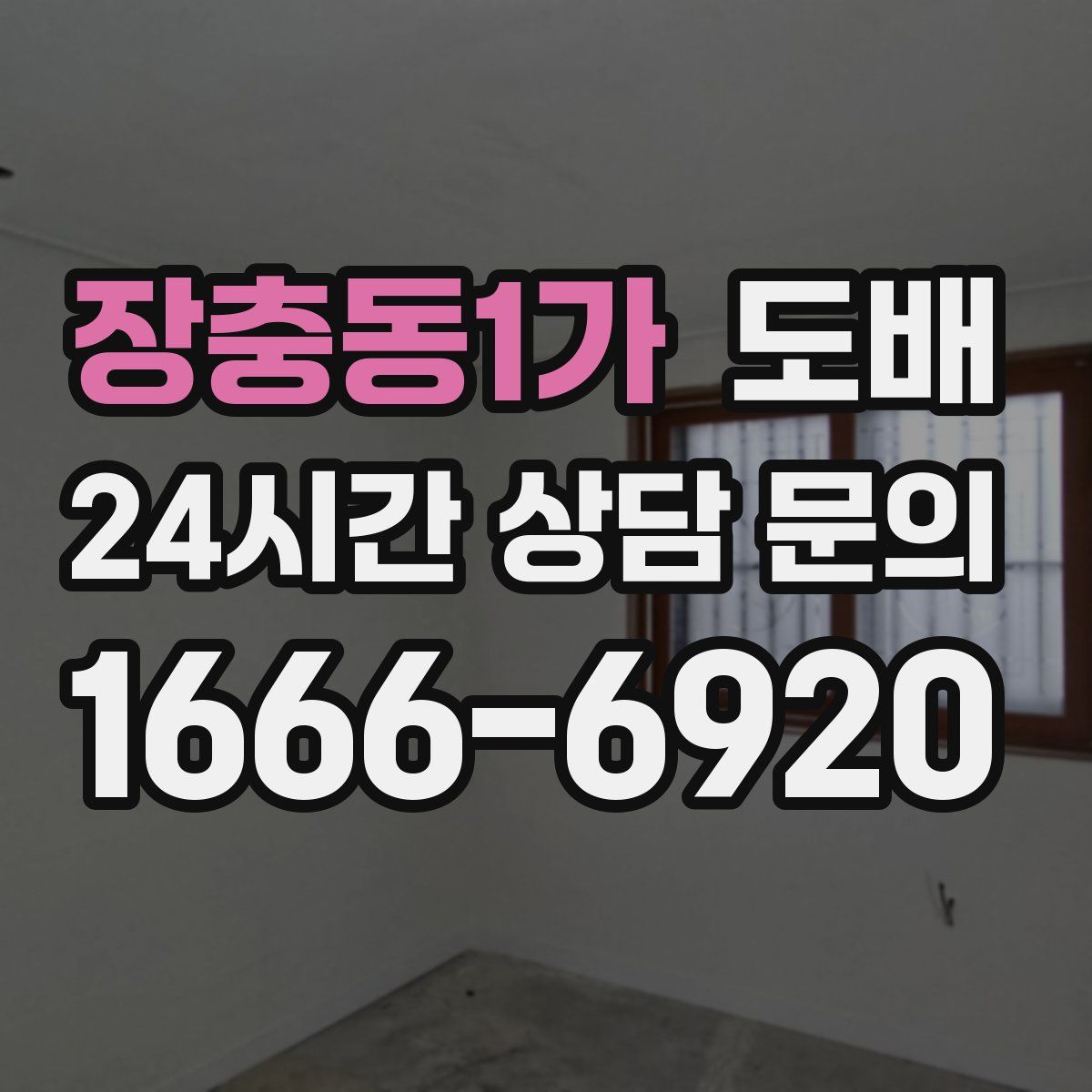 장충동1가 도배