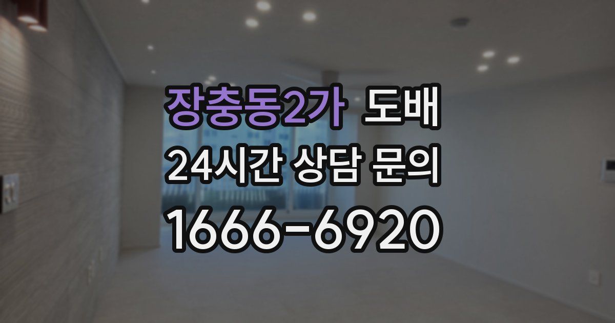 장충동2가 도배