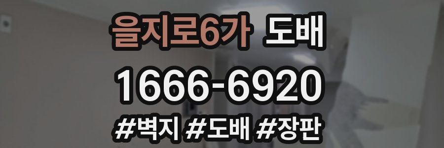 을지로6가 도배