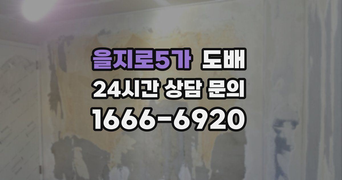 을지로5가 도배