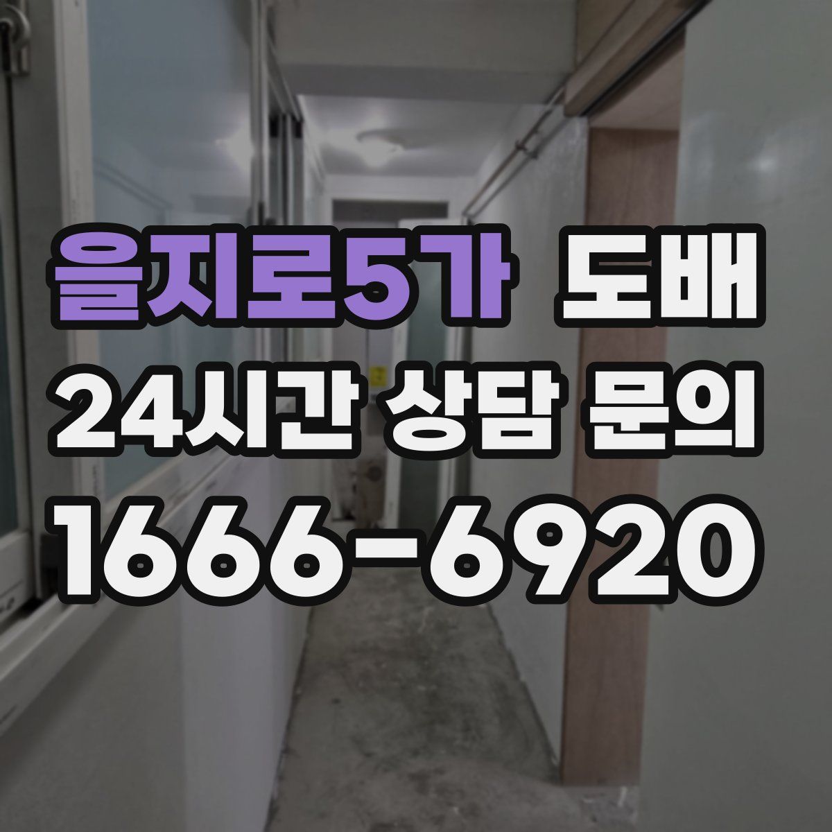 을지로5가 도배
