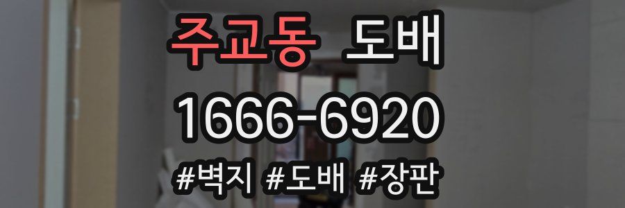 주교동 도배