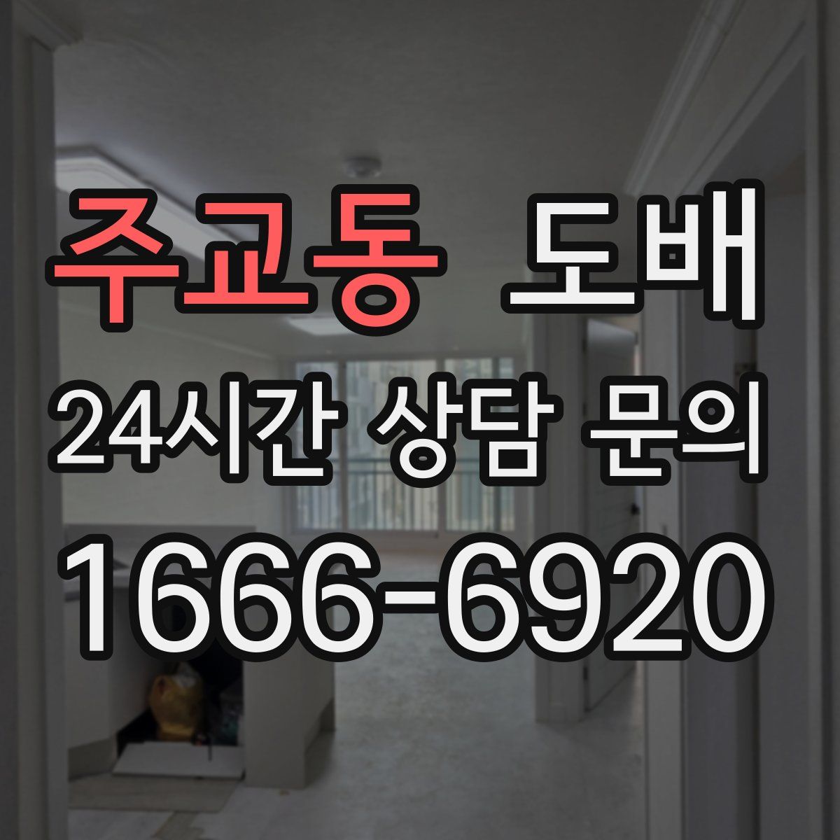 주교동 도배