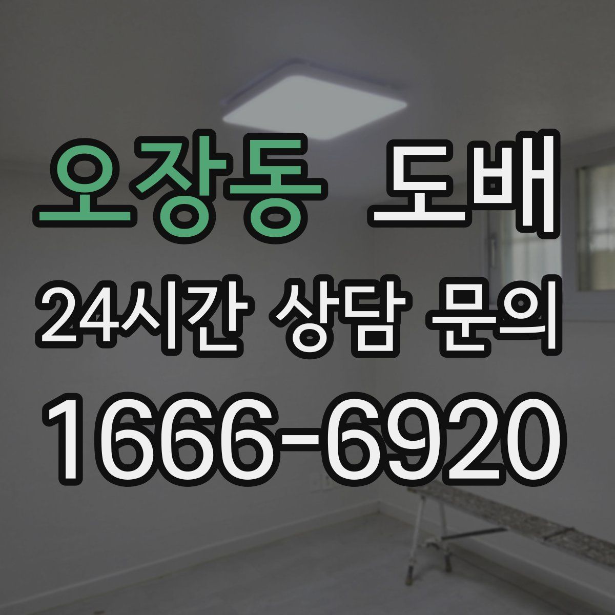오장동 도배
