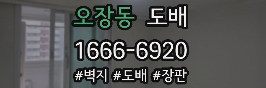 오장동 도배