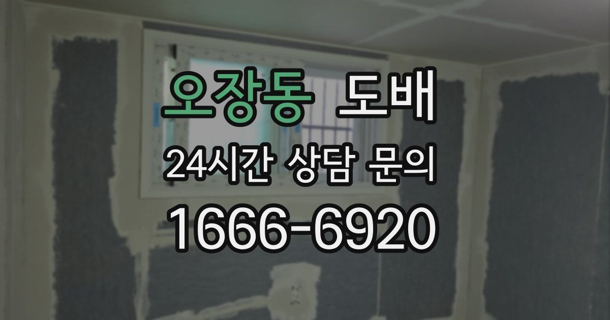 오장동 도배