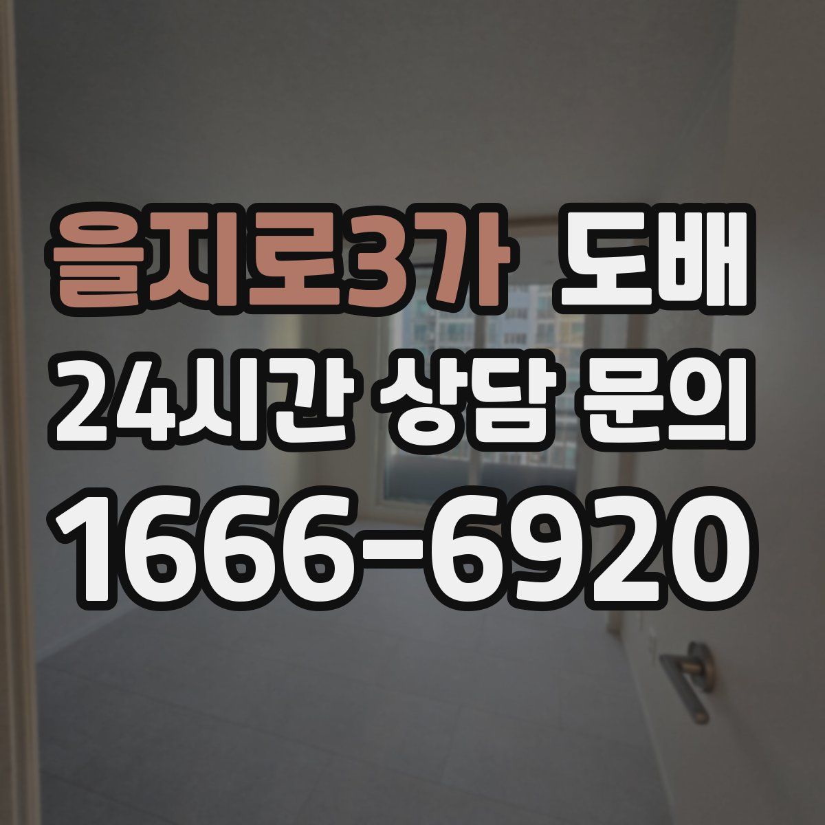 을지로3가 도배