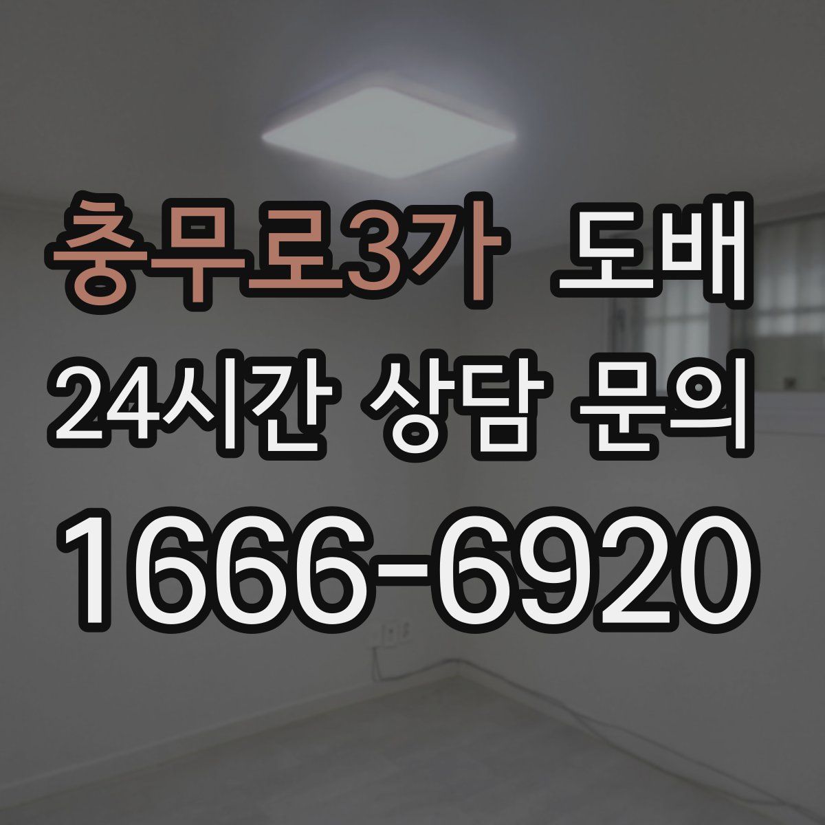 충무로3가 도배