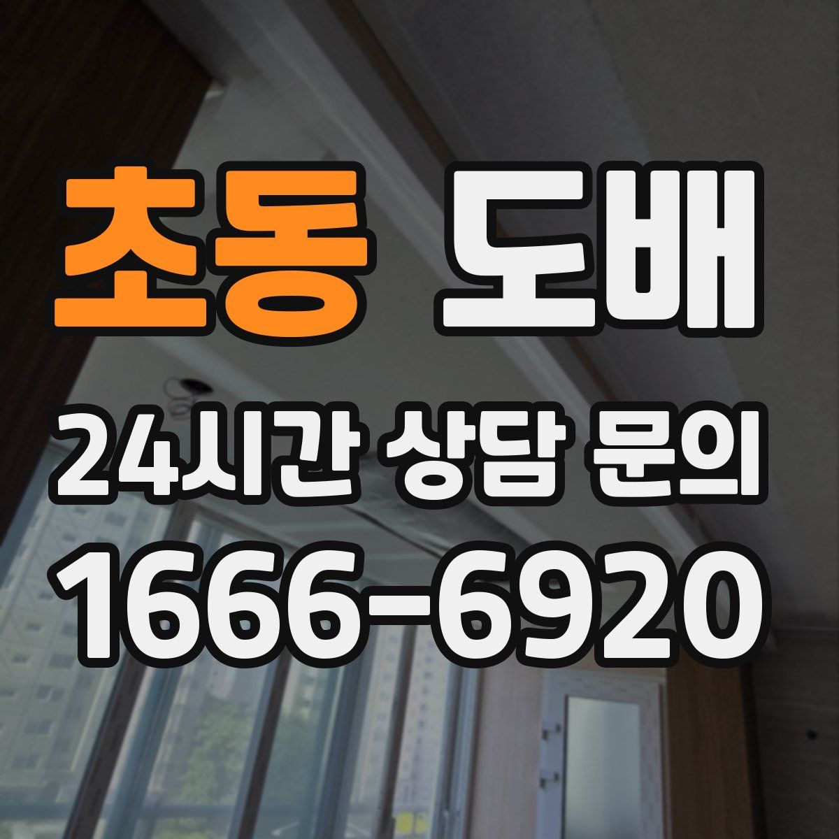 초동 도배