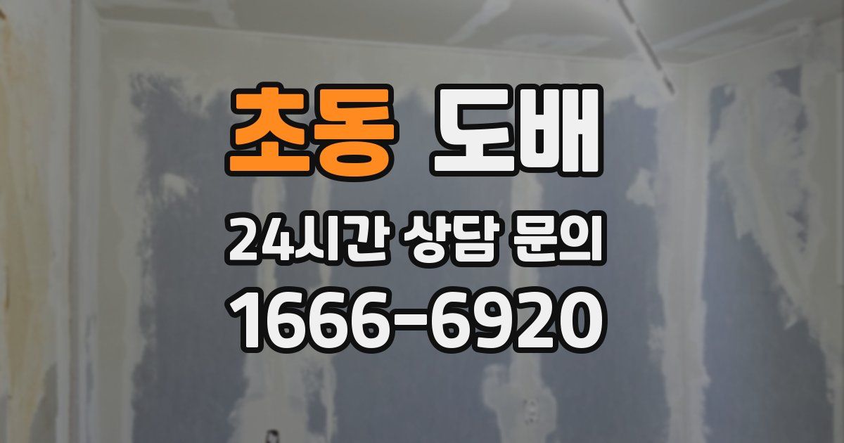 초동 도배