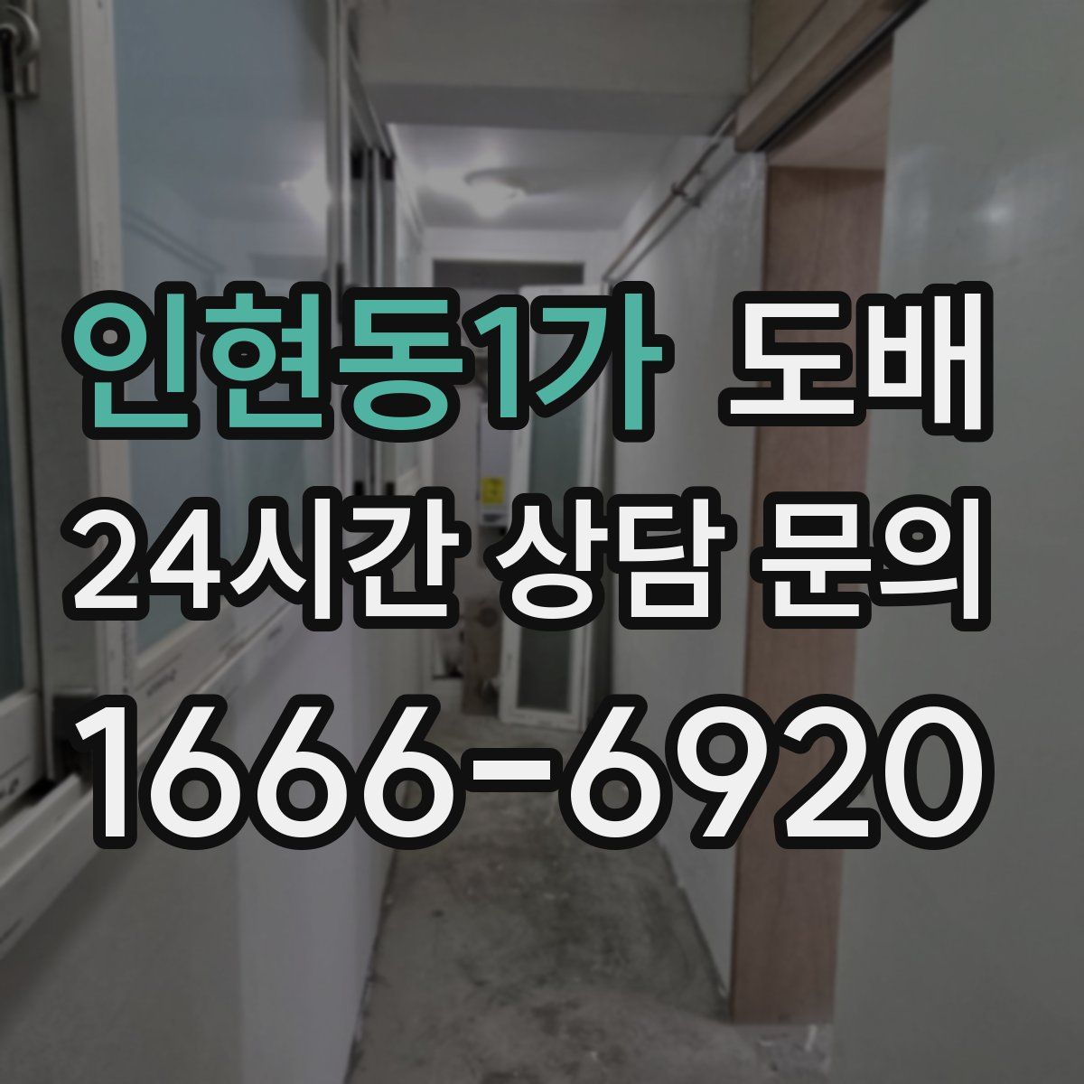 인현동1가 도배