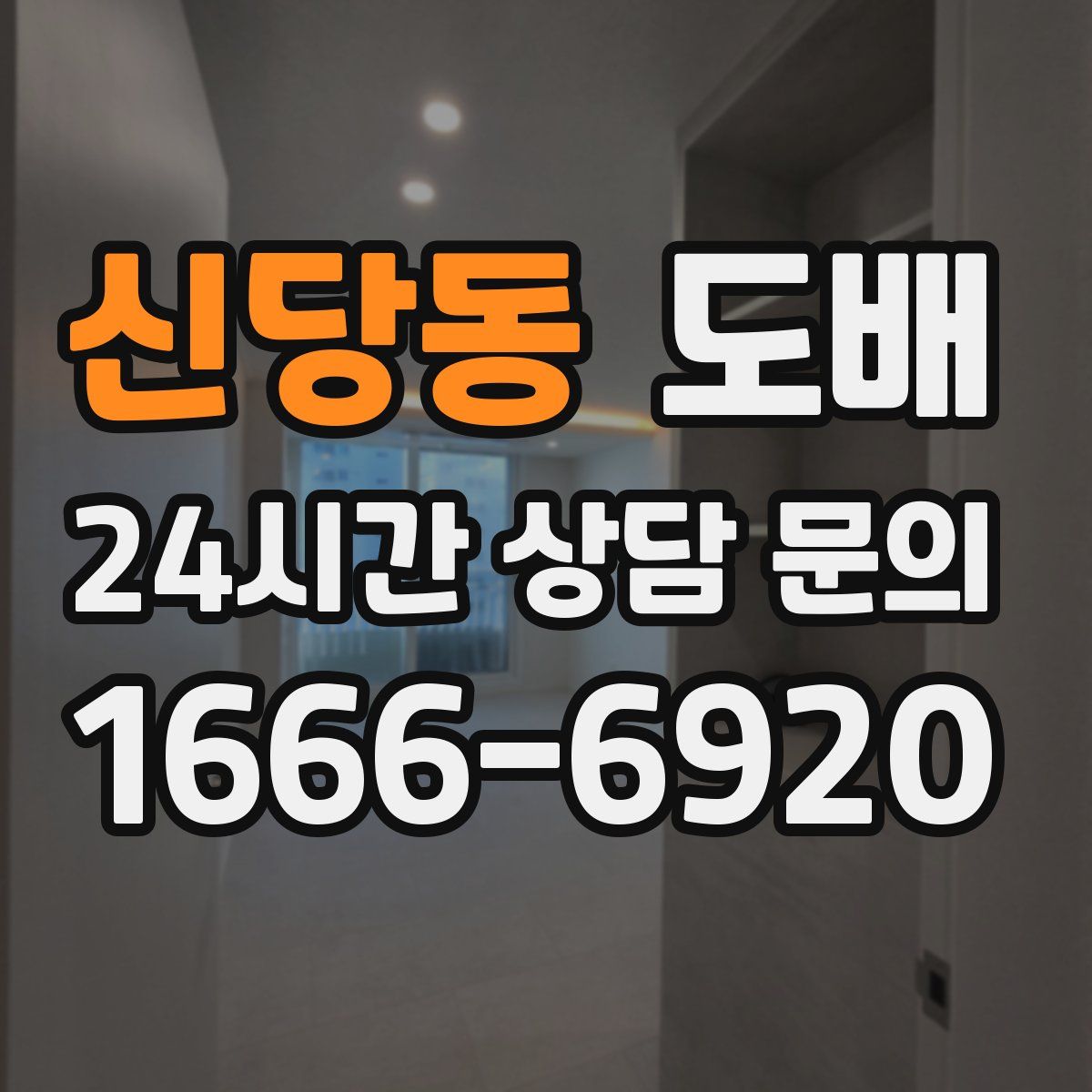 신당동 도배