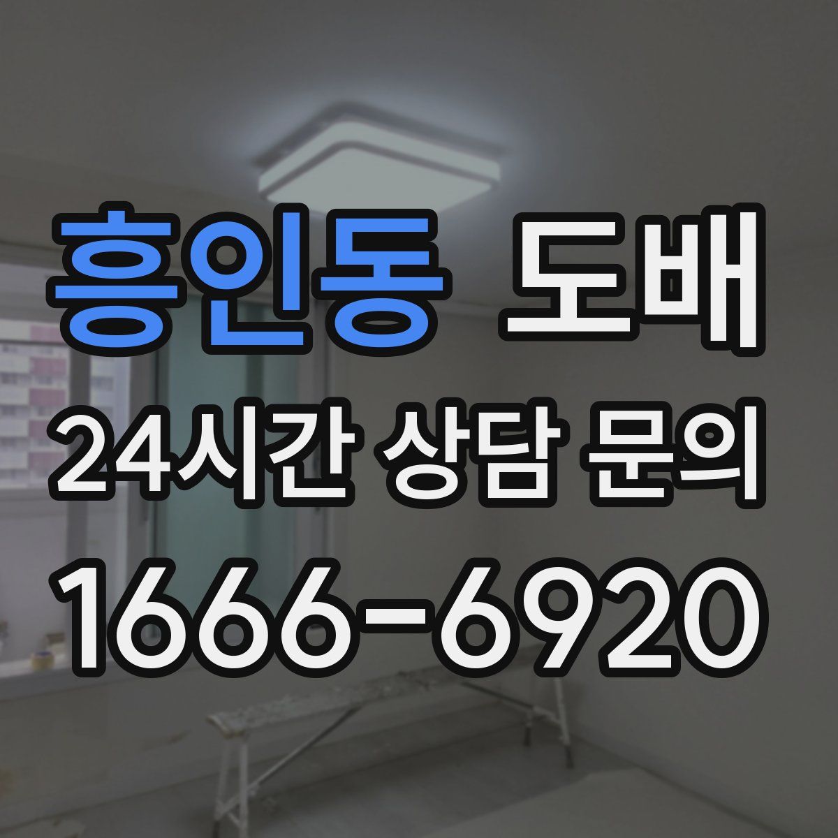 흥인동 도배