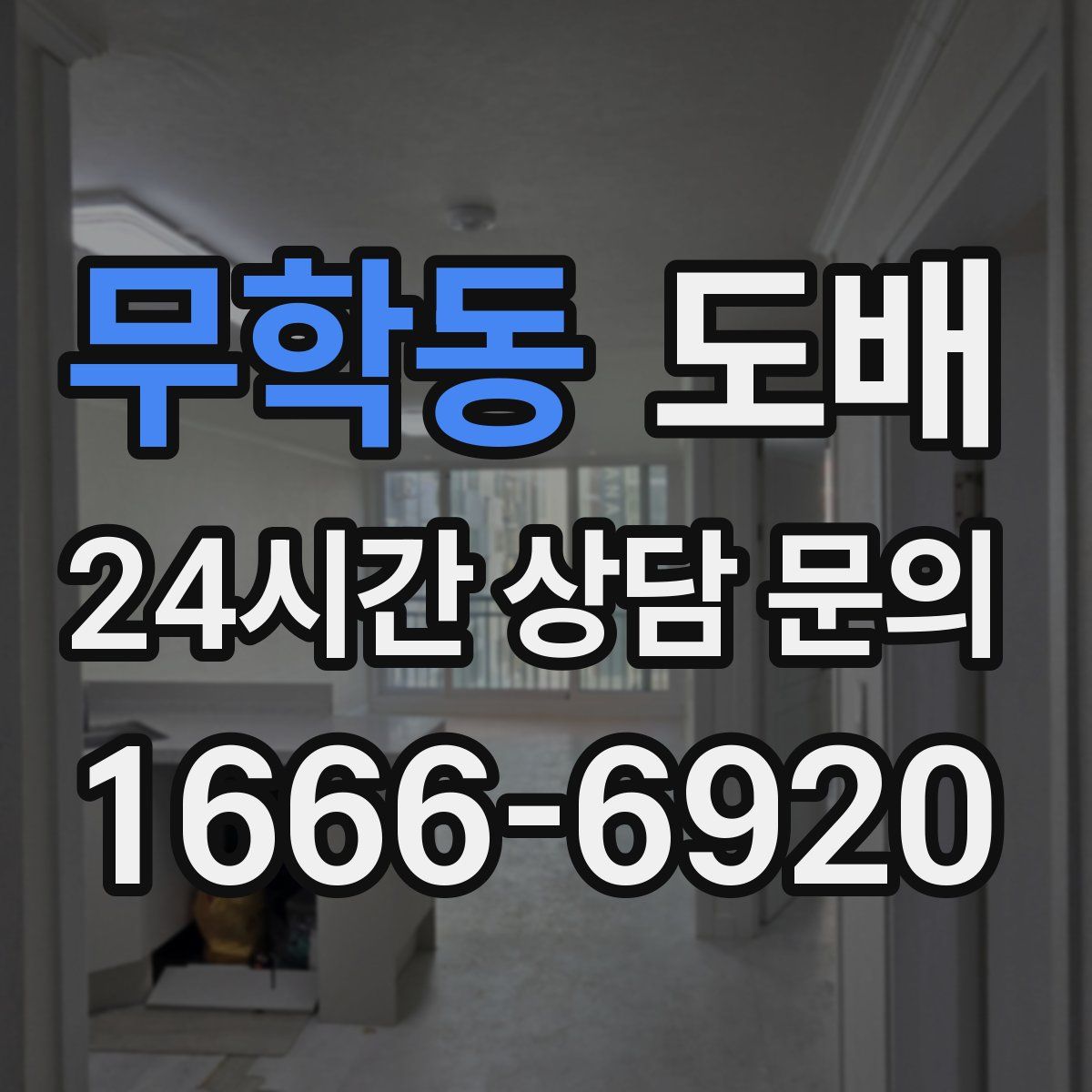 무학동 도배