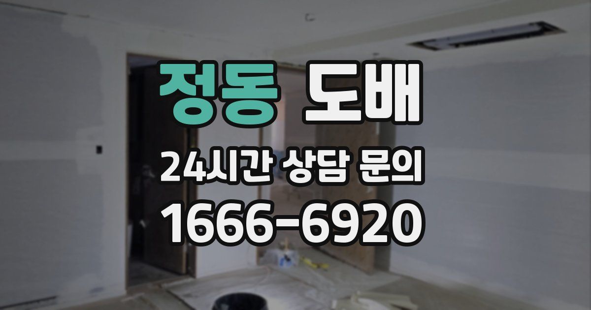정동 도배