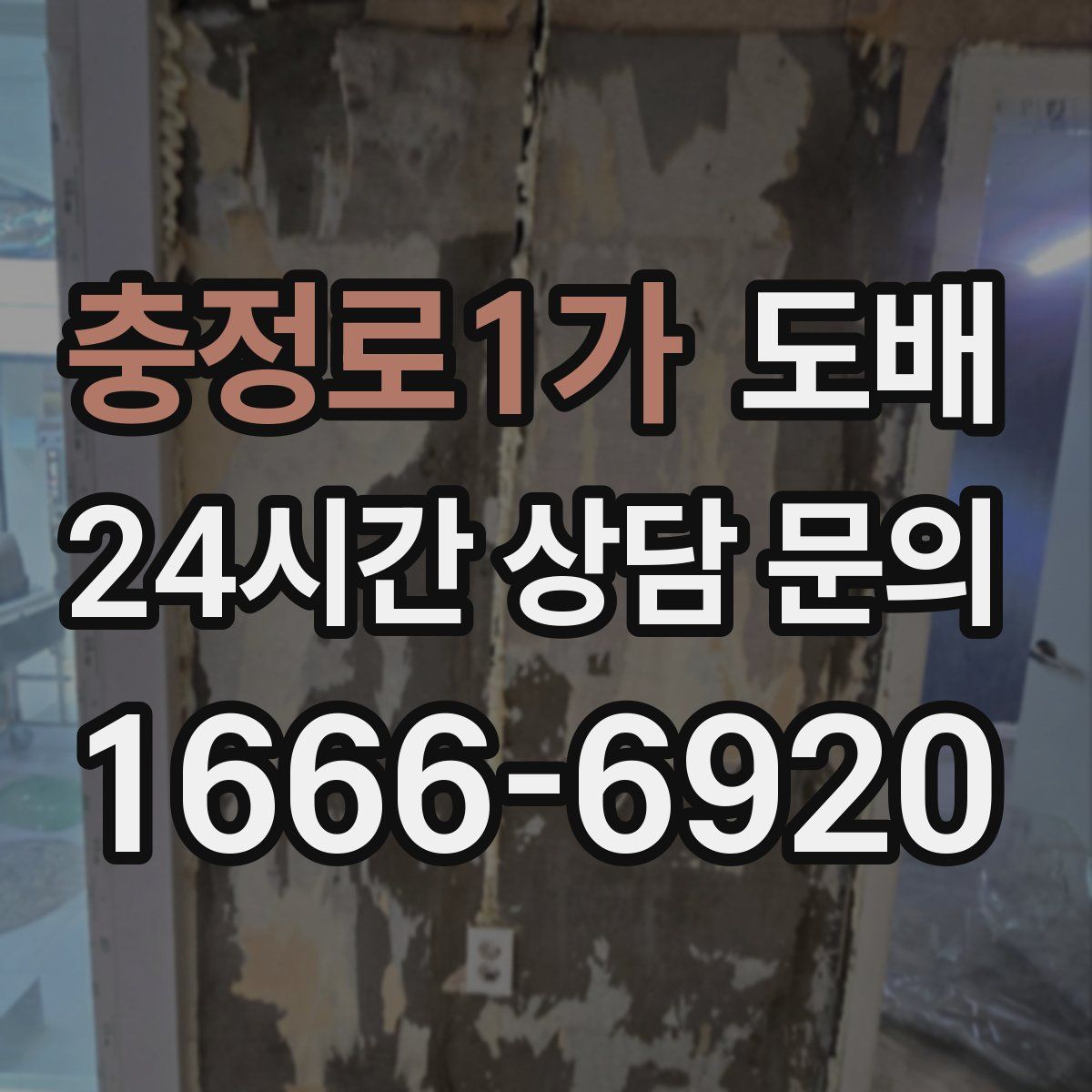 충정로1가 도배