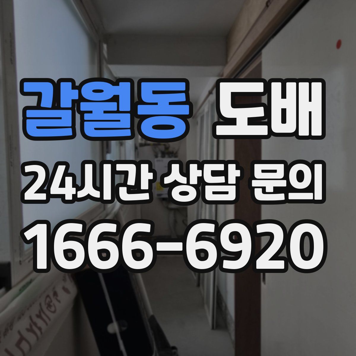 갈월동 도배