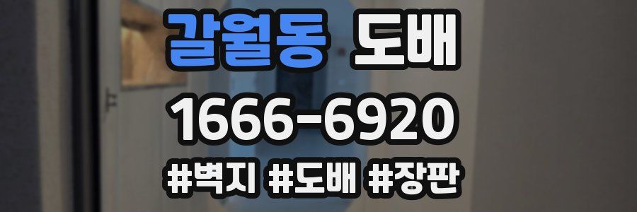 갈월동 도배