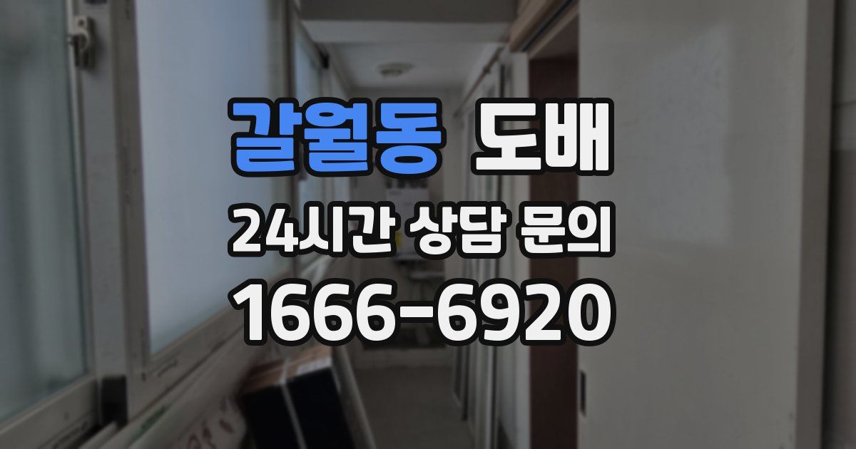 갈월동 도배