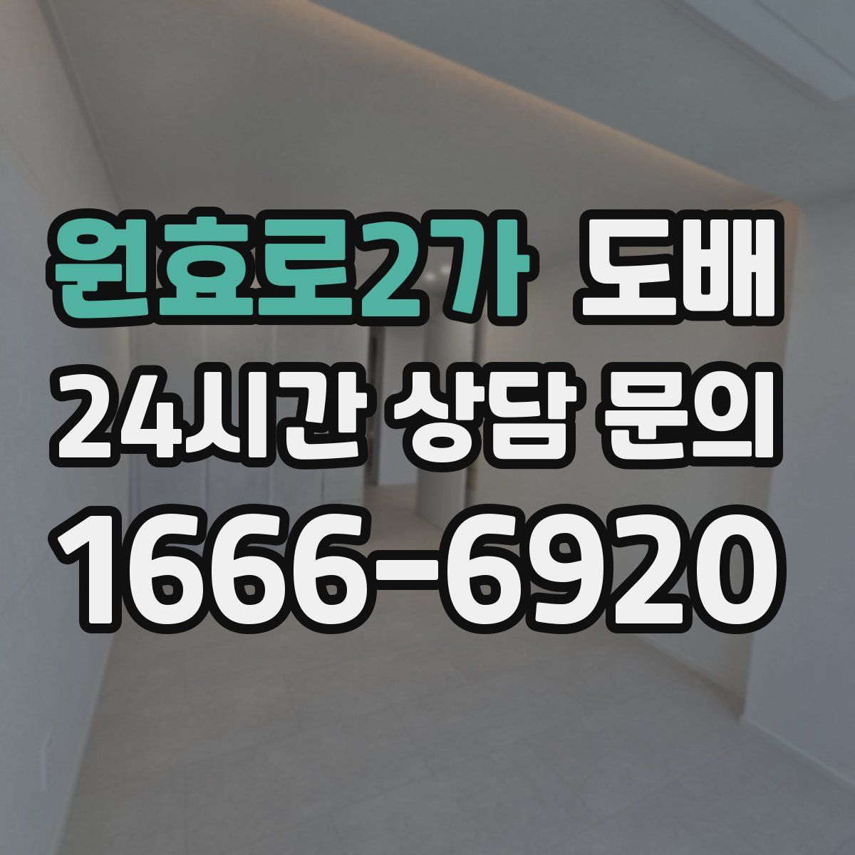 원효로2가 도배