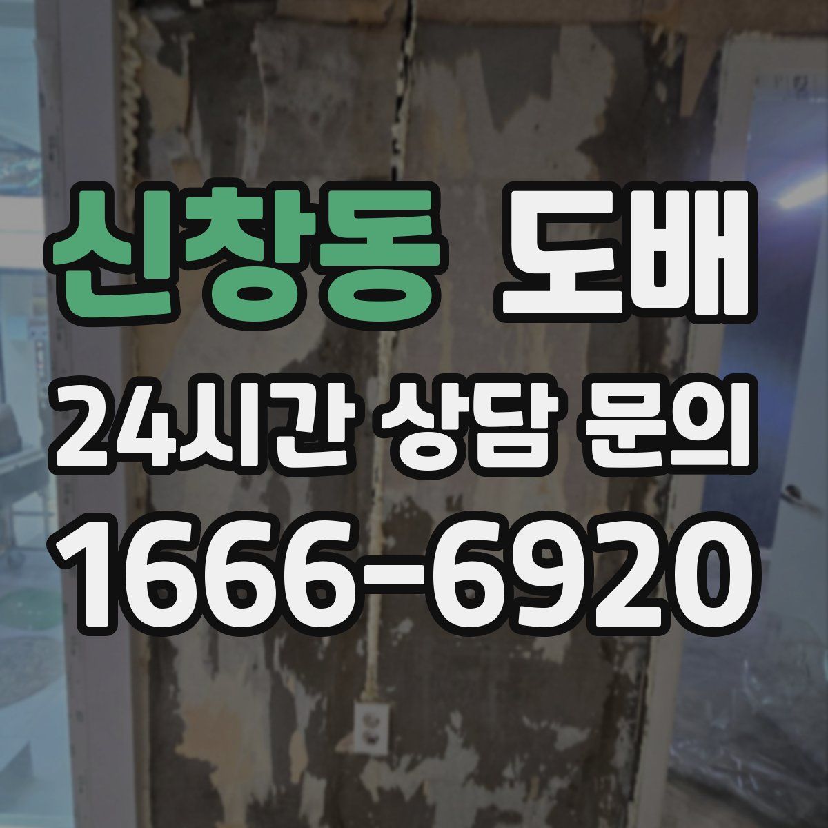 신창동 도배